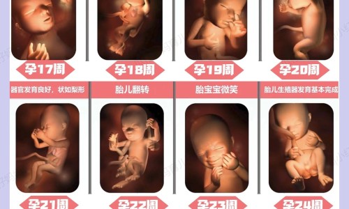 怀孕可以用达克宁吗-达克宁孕妇可以外用吗网 - 网站提供怀孕可以涂达克宁软膏吗小常识、达克宁孕妇可以外用吗女性