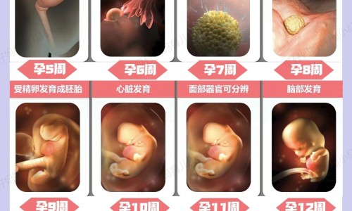 达克宁孕妇可以外用吗网 - 网站提供怀孕可以涂达克宁软膏吗小常识、达克宁孕妇可以外用吗女性